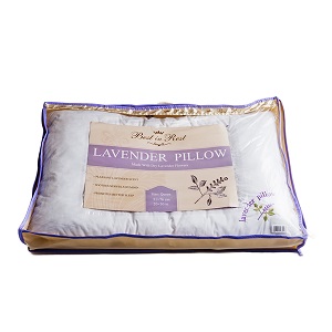 CPAP-Clinic Accessories : # 461227 Lavender Pillow by Best In Rest-/catalog/accessories/bestinrest/lavender-pillow-01